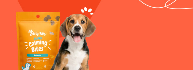 Promoción especial para mascotas