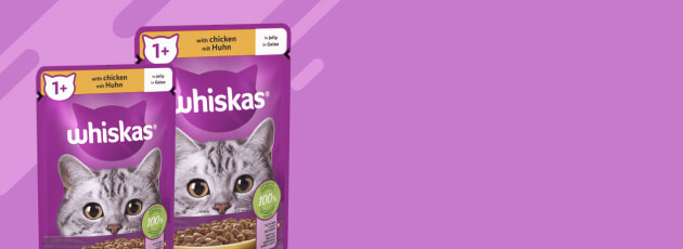 Alimento premium para gatos